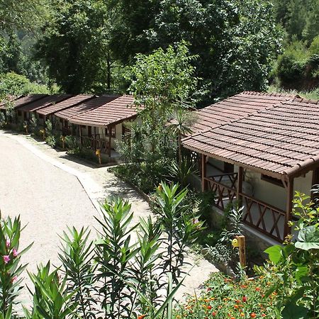 ホテルEco Family Park Beskonak エクステリア 写真