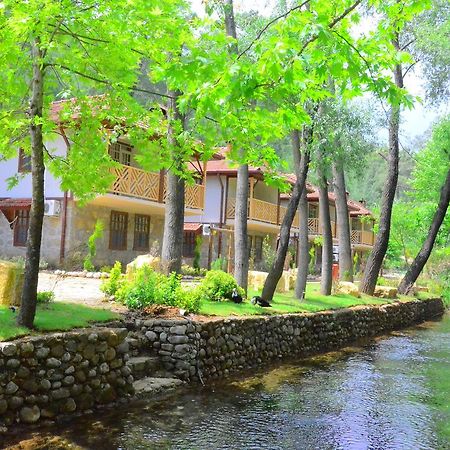 ホテルEco Family Park Beskonak エクステリア 写真