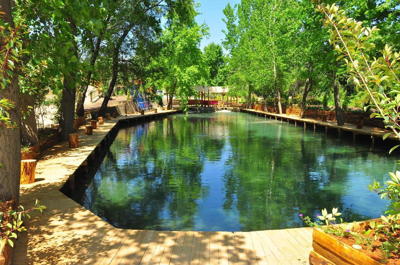 ホテルEco Family Park Beskonak エクステリア 写真