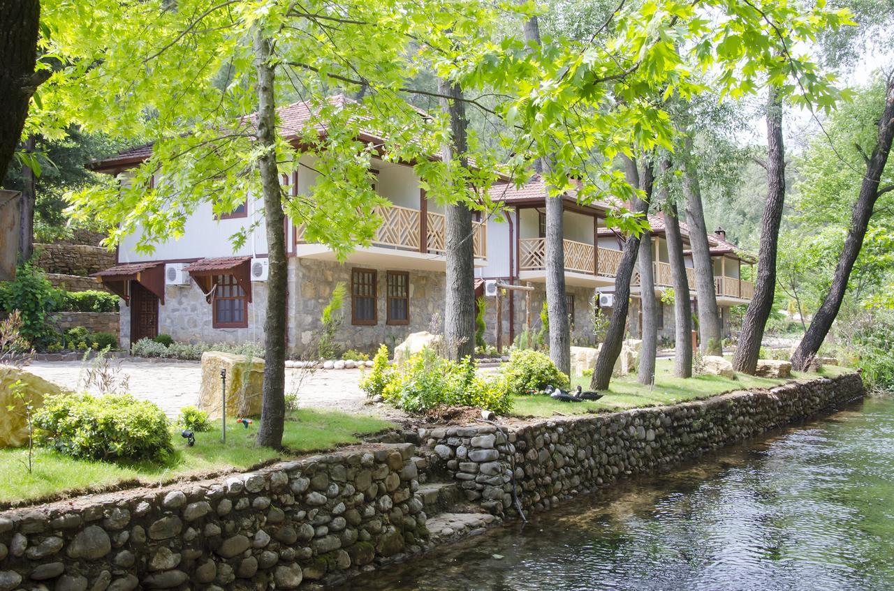 ホテルEco Family Park Beskonak エクステリア 写真