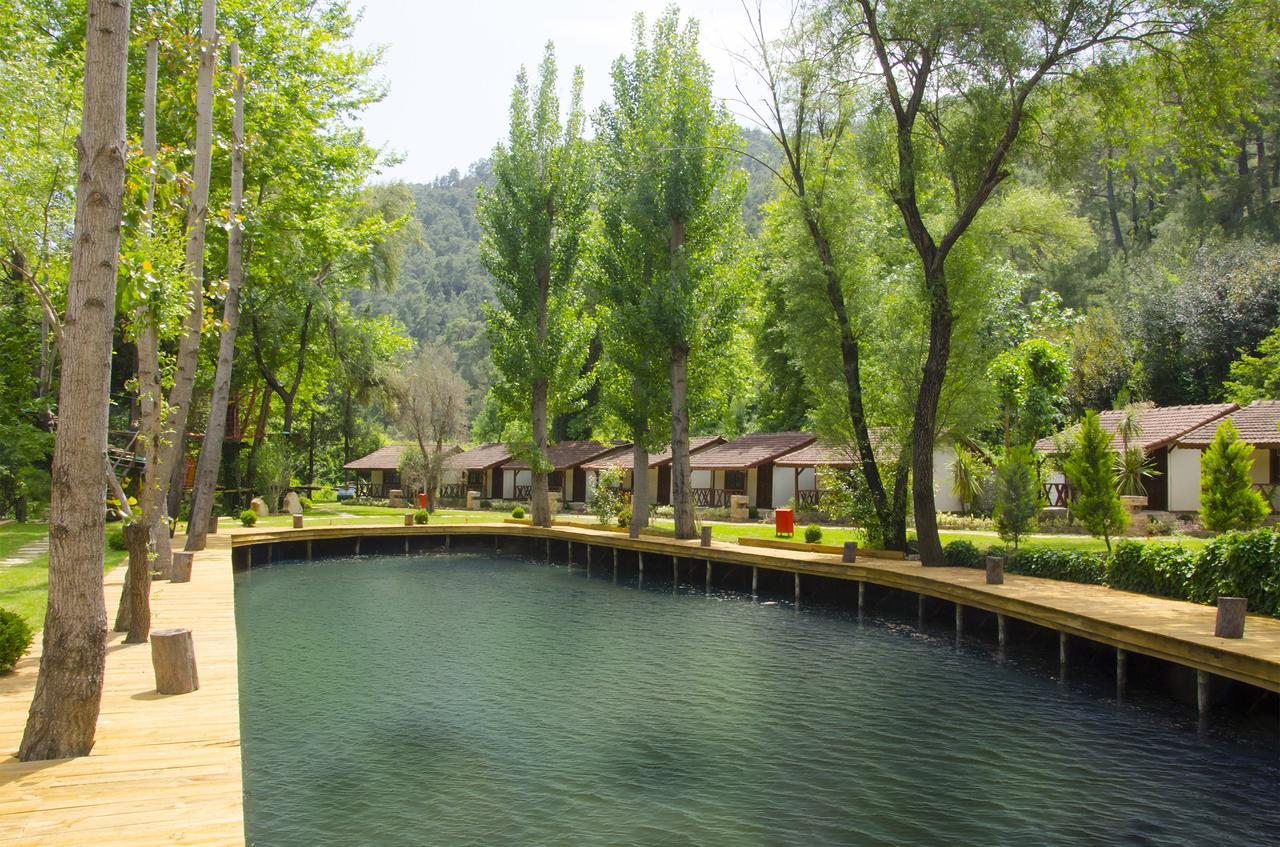 ホテルEco Family Park Beskonak エクステリア 写真